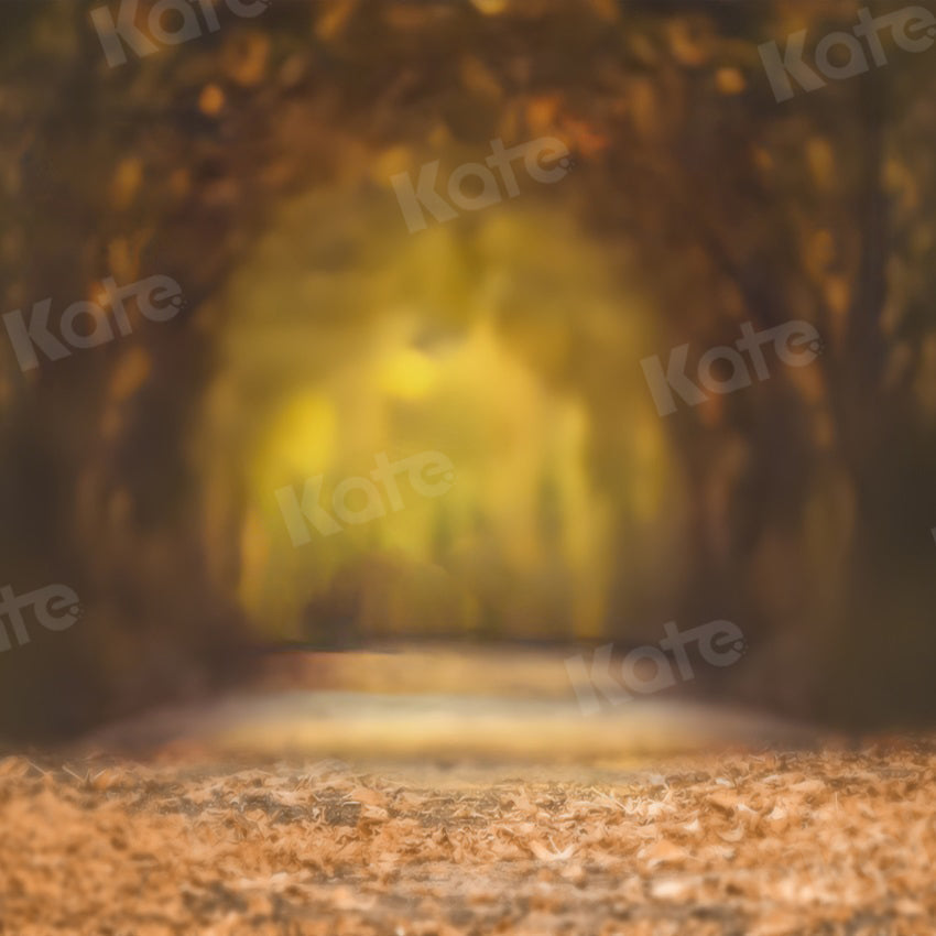 Kate Bokeh Hintergrund Herbst Blätter Baum Straße für Fotografie