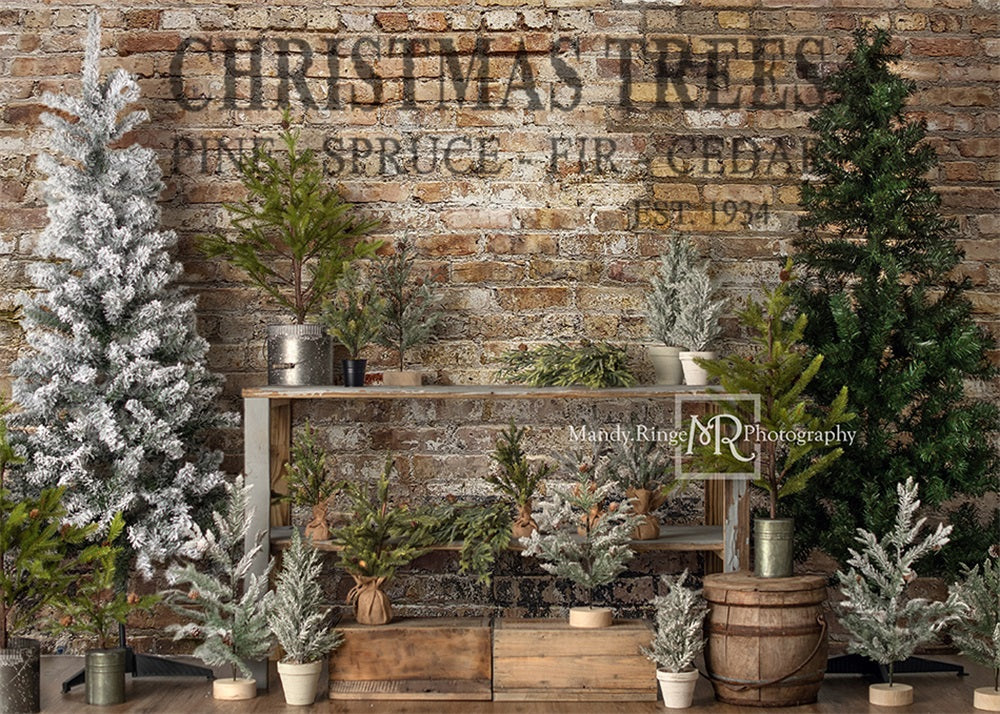 Kate Weihnachten Bauernhof Baum Stand Hintergrund von Mandy Ringe Photography