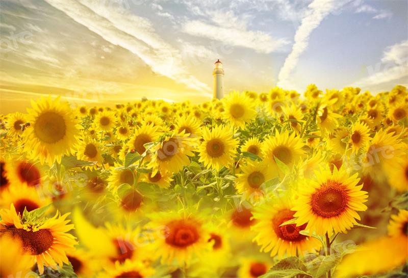 Kate Bokeh Sonnenblume Hintergrund Himmel für Fotografie - Kate Backdrop.de