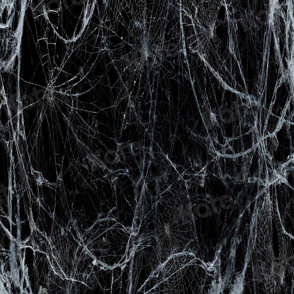 Kate Halloween Hintergrund Spinnennetz Schwarz Wand für Fotografie