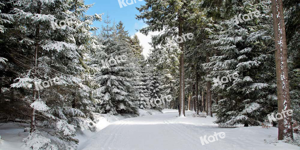 Kate Winter Hintergrund Straße Weihnachten Bäume Schnee von Chain Photography