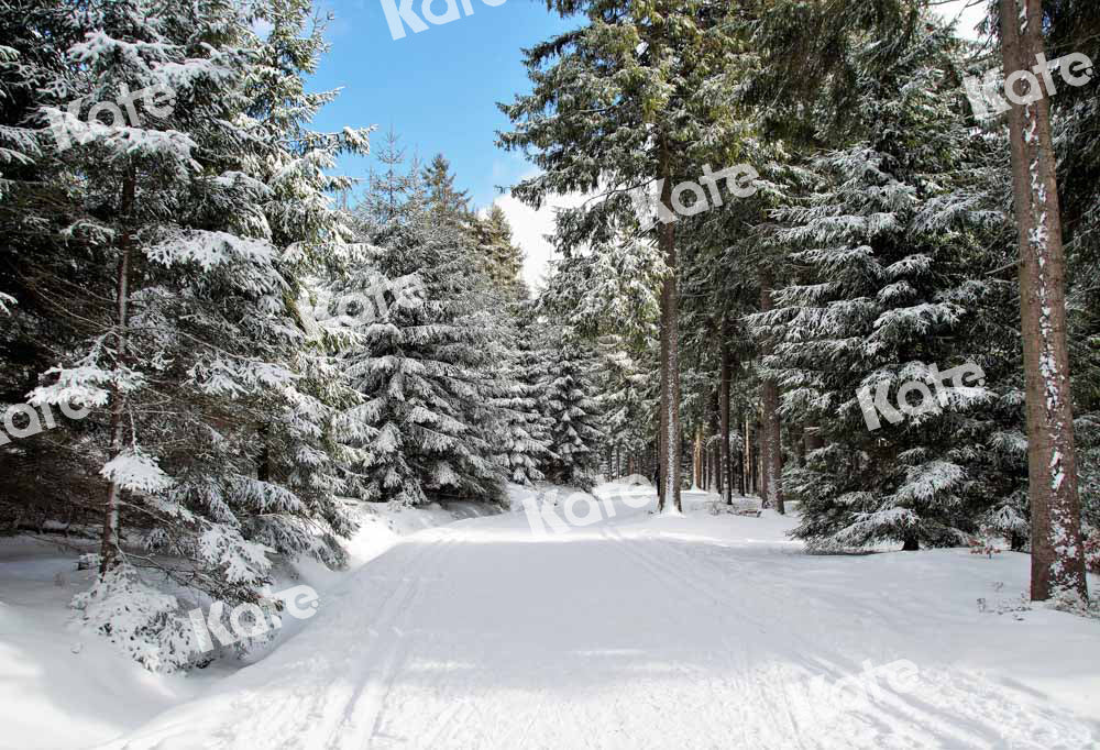 Kate Winter Hintergrund Straße Weihnachten Bäume Schnee von Chain Photography