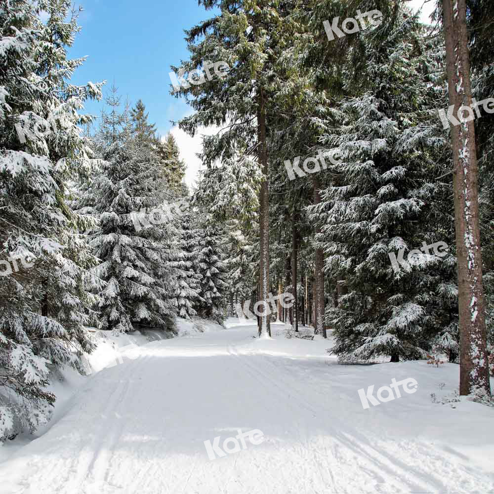 Kate Winter Hintergrund Straße Weihnachten Bäume Schnee von Chain Photography - Kate Backdrop.de