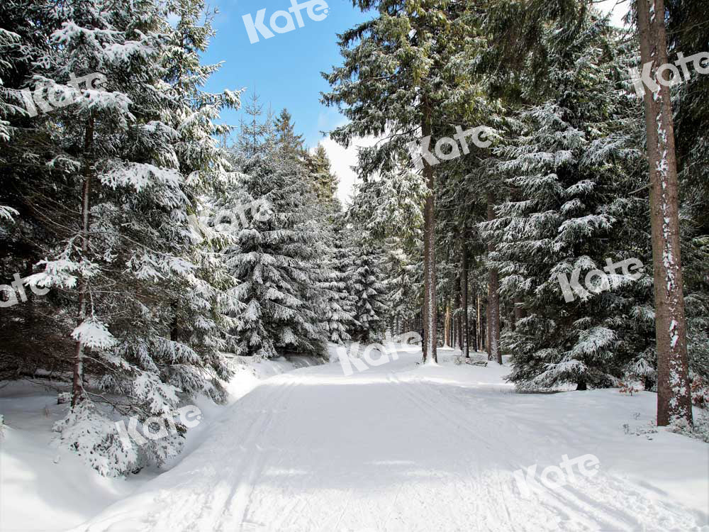 Kate Winter Hintergrund Straße Weihnachten Bäume Schnee von Chain Photography