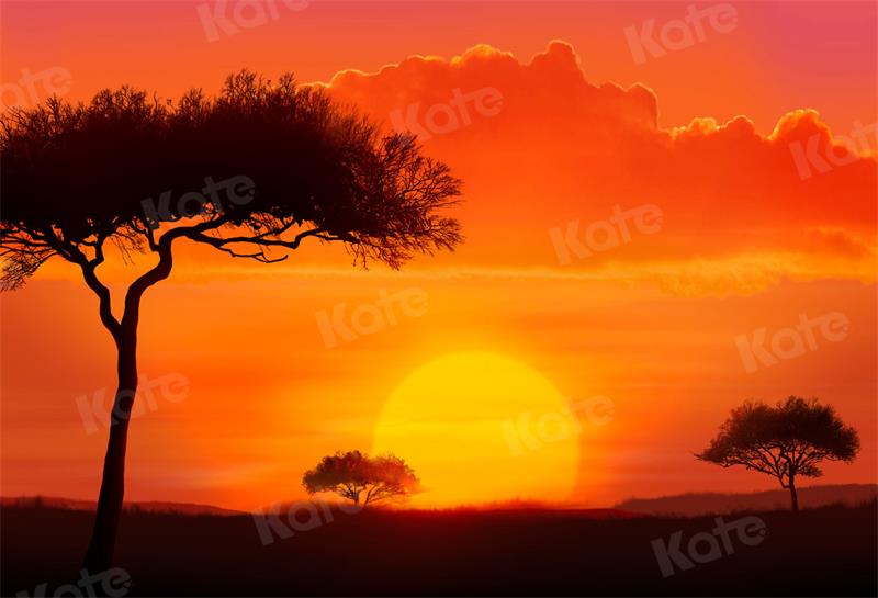 Kate Landschaft Hintergrund Sonnenuntergang Baum für Fotografie