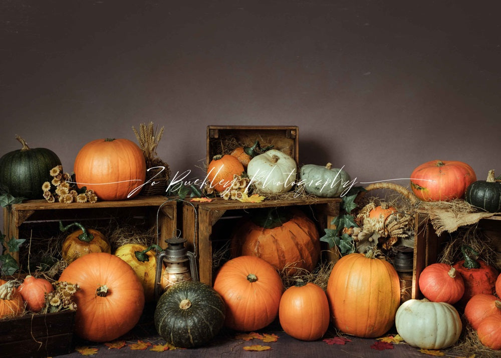 Kate Kürbis Herbst Hintergrund für Fotografie von Jo Buckley Photography - Kate Backdrop.de