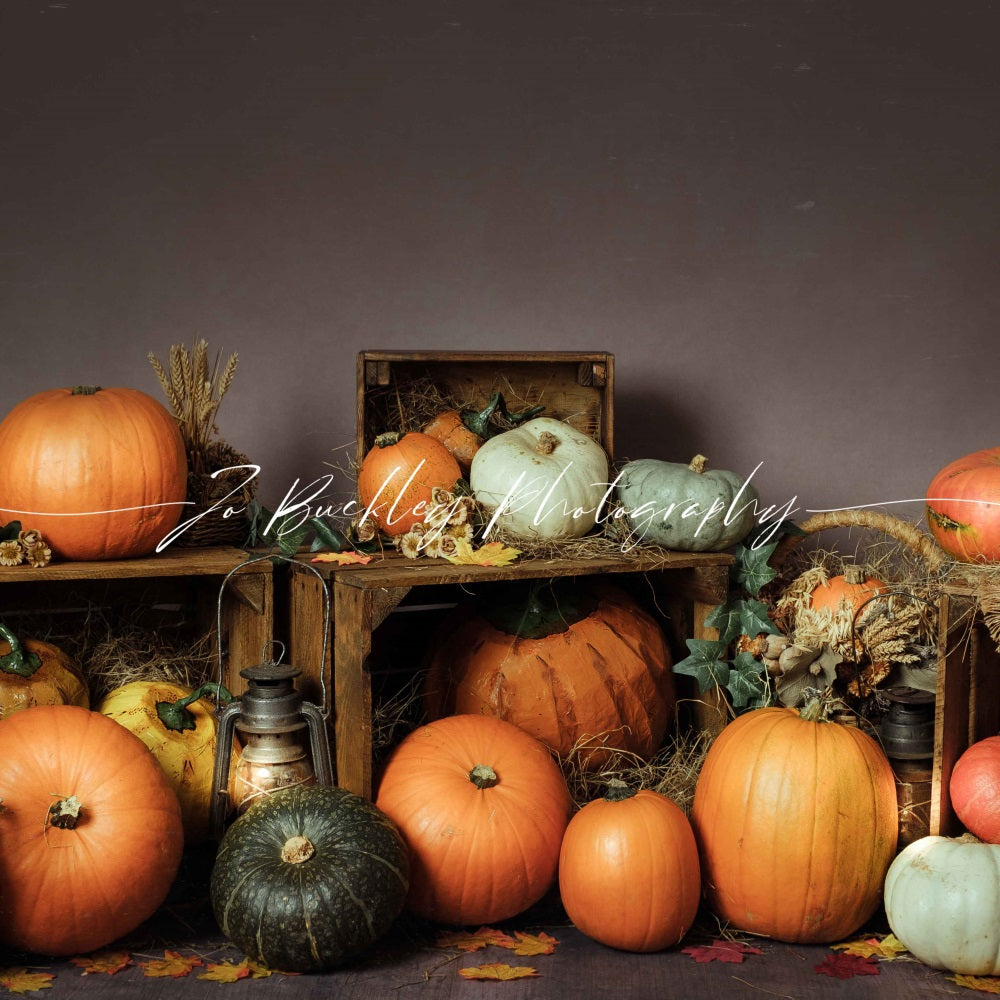 Kate Kürbis Herbst Hintergrund für Fotografie von Jo Buckley Photography - Kate Backdrop.de
