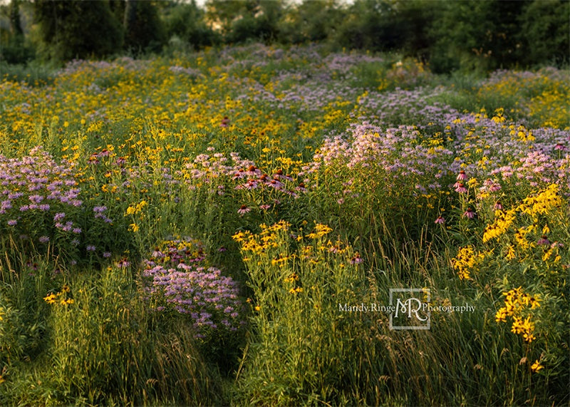 Kate Sommer Blumen Landschaft Hintergrund von Mandy Ringe Photography - Kate Backdrop.de