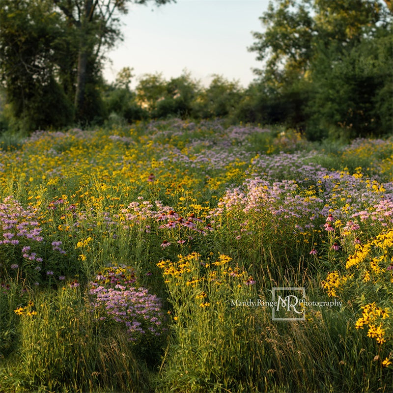 Kate Sommer Blumen Landschaft Hintergrund von Mandy Ringe Photography - Kate Backdrop.de