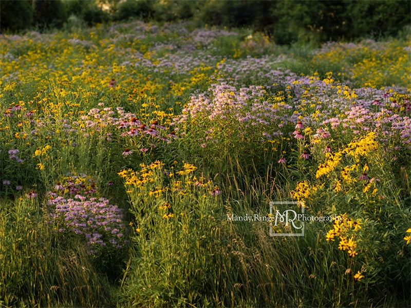 Kate Sommer Blumen Landschaft Hintergrund von Mandy Ringe Photography