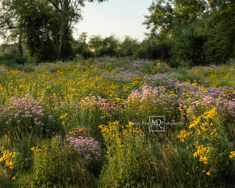 Kate Sommer Blumen Landschaft Hintergrund von Mandy Ringe Photography