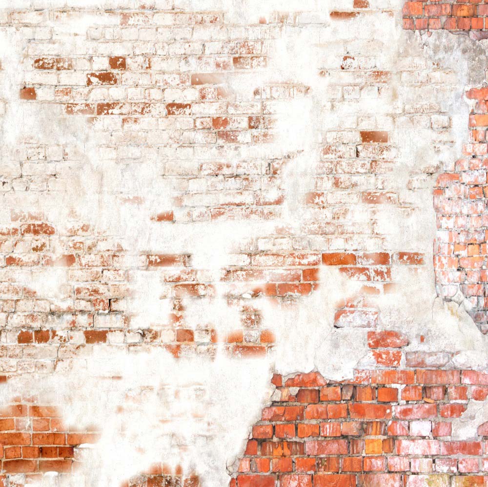 Kate Alt Schäbig Weiß Rot Backstein Wand Hintergrund von Kate - Kate Backdrop.de