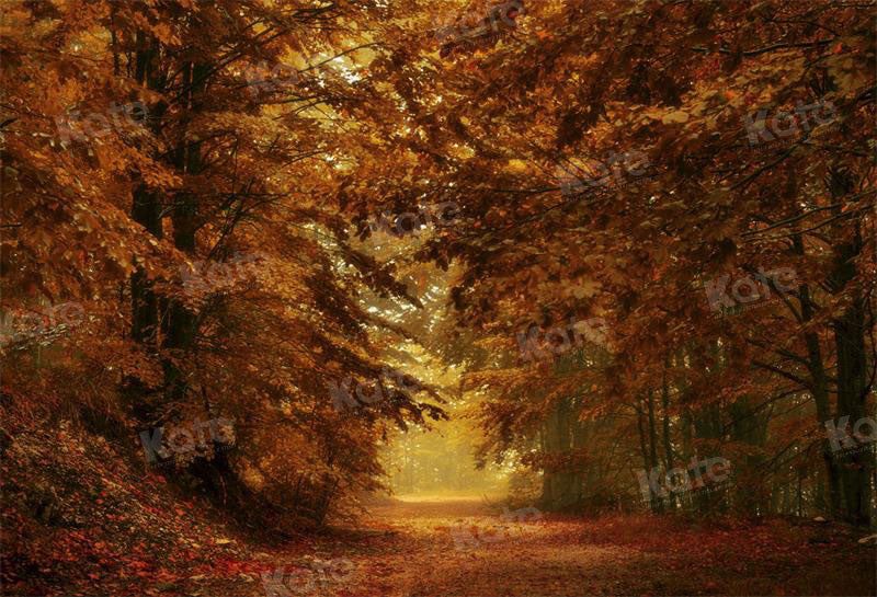Kate Herbst Hintergrund Wald Straße für Fotografie - Kate Backdrop.de