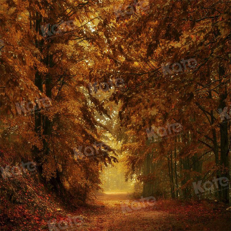 Kate Herbst Hintergrund Wald Straße für Fotografie - Kate Backdrop.de