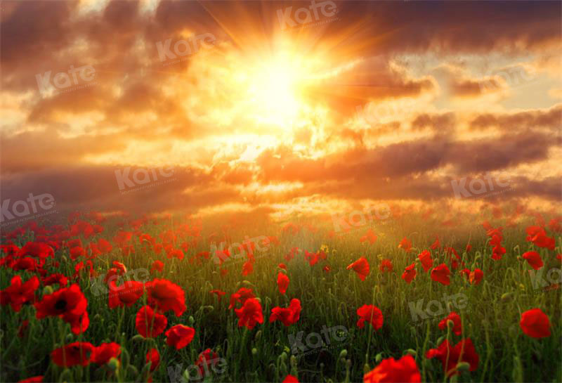 Kate Valentinstag Hintergrund Landschaft Sonnenuntergang Blumen für Fotografie