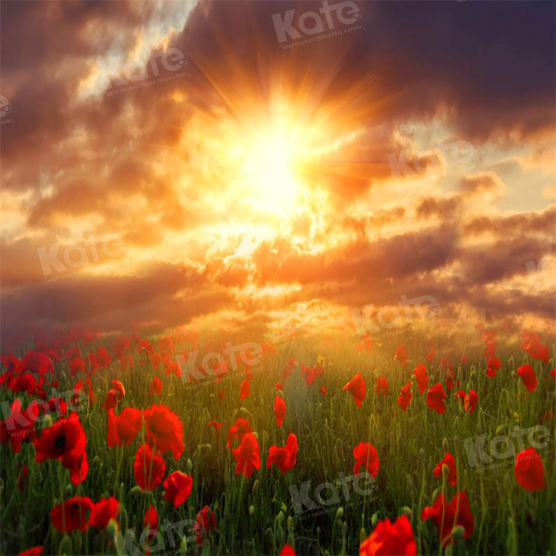 Kate Valentinstag Hintergrund Landschaft Sonnenuntergang Blumen für Fotografie