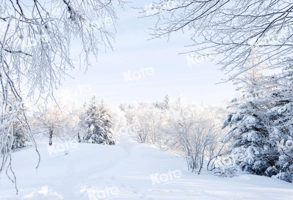 Kate Winter Hintergrund Schnee Wald von Chain Photography