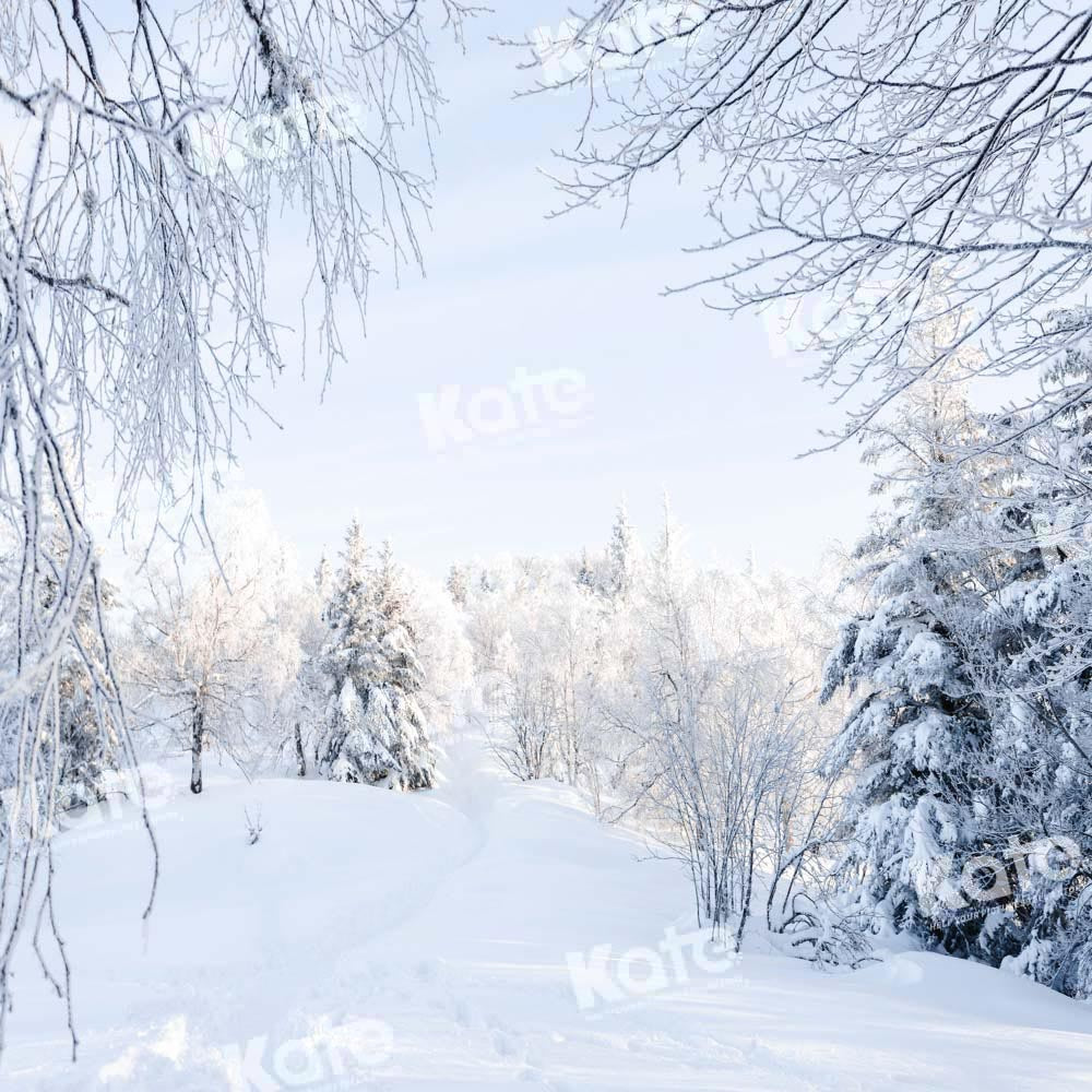 Kate Winter Hintergrund Schnee Wald von Chain Photography