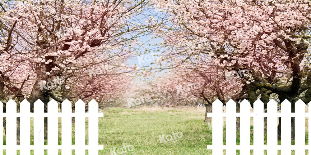 Kate Frühjahr Frühling Garten Eingang Kirschblüten Hintergrund von Emetselch
