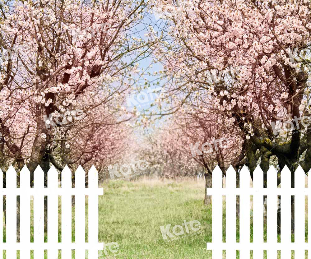 Kate Frühjahr Frühling Garten Eingang Kirschblüten Hintergrund von Emetselch