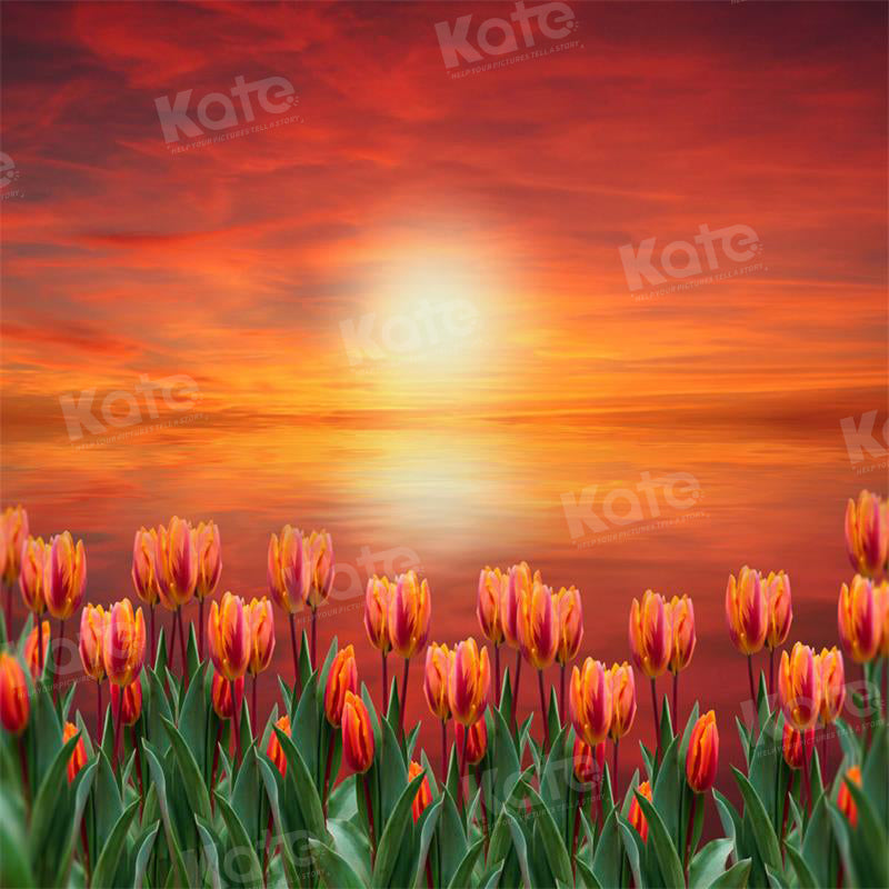 Kate Frühling Tulpe Dämmerung Sonnenuntergang Hintergrund für die Fotografie