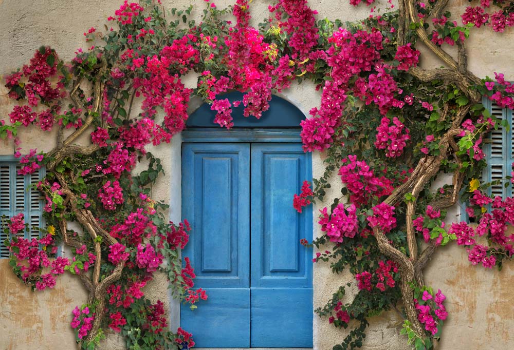Kate Frühlingsblumenwand im mediterranen Stil Blaue Tür Hintergrundkulisse von Chain Photography