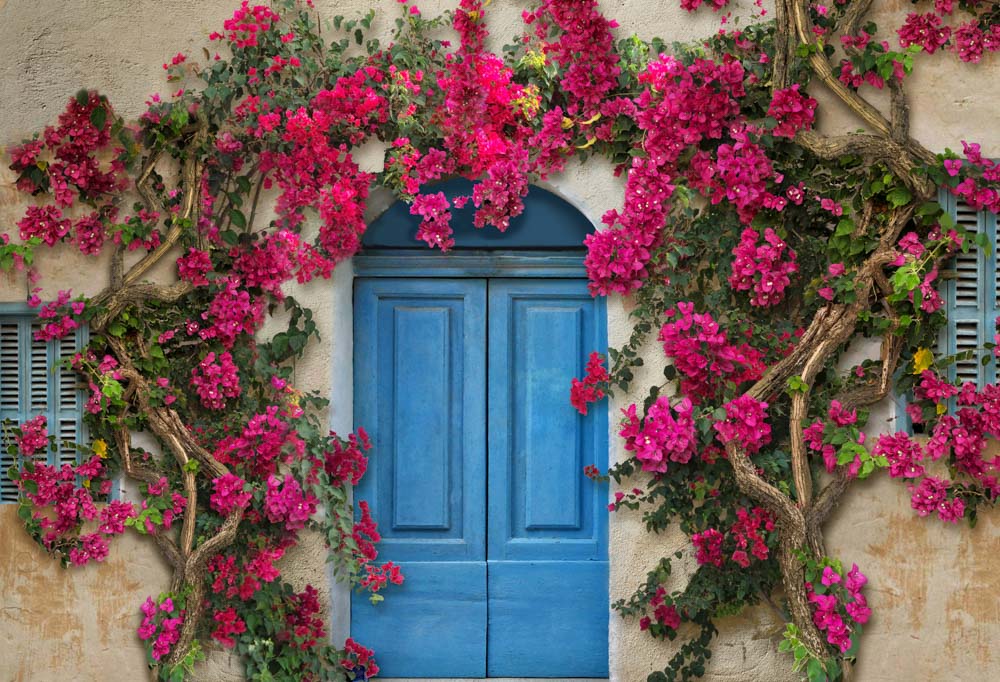 Kate Frühlingsblumenwand im mediterranen Stil Blaue Tür Hintergrundkulisse von Chain Photography - Kate Backdrop.de