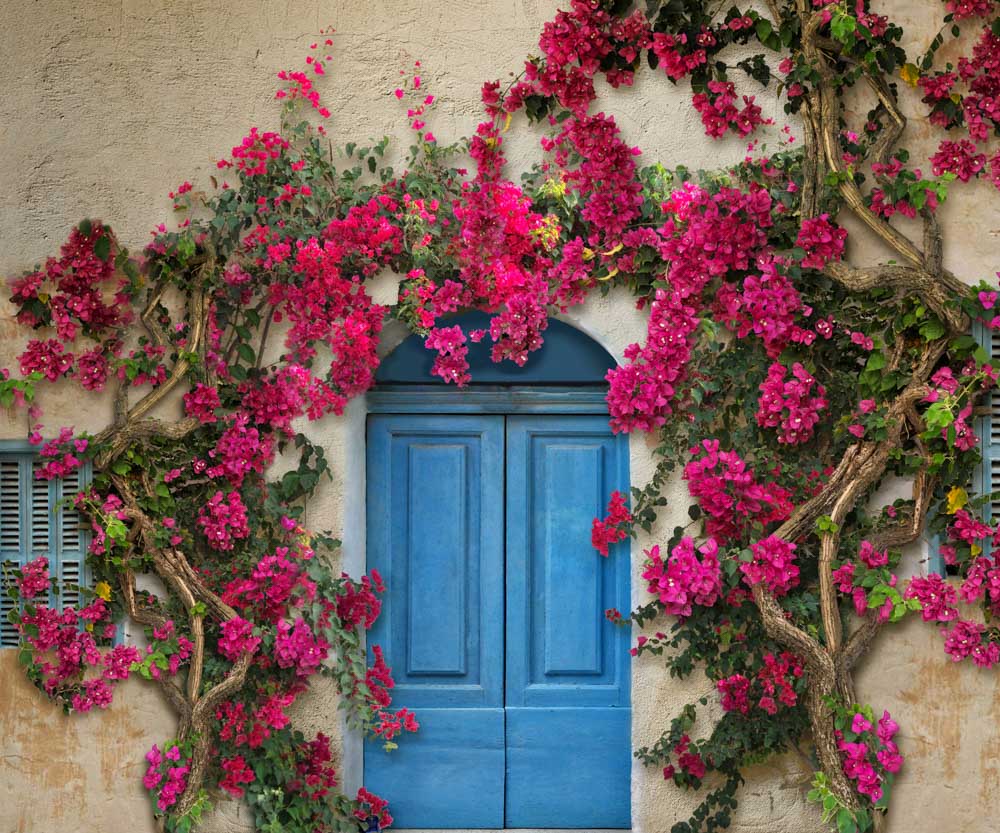 Kate Frühlingsblumenwand im mediterranen Stil Blaue Tür Hintergrundkulisse von Chain Photography - Kate Backdrop.de