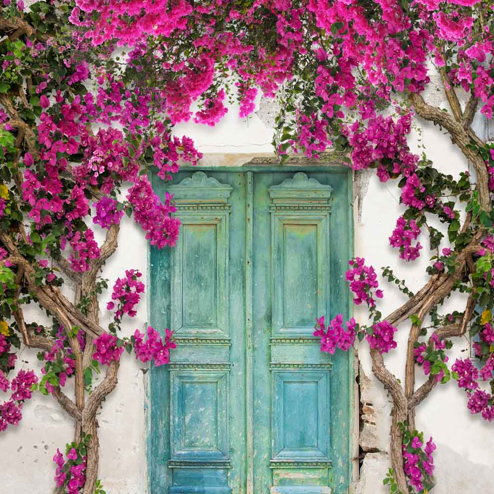 Kate Frühlingstür Blume Wand Mediterrane Hintergrundkulisse von Chain Photography - Kate Backdrop.de
