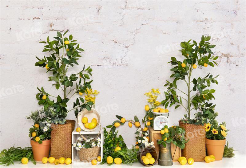 Kate Sommerliche Hintergründe mit Zitronenbäumen für die Fotografie