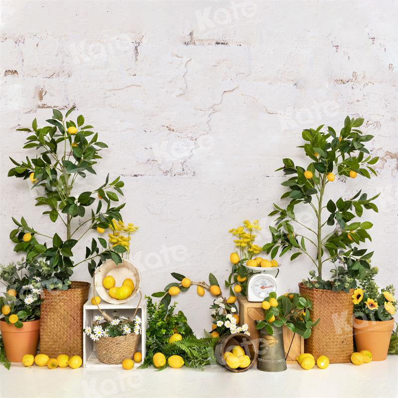 Kate Sommerliche Hintergründe mit Zitronenbäumen für die Fotografie
