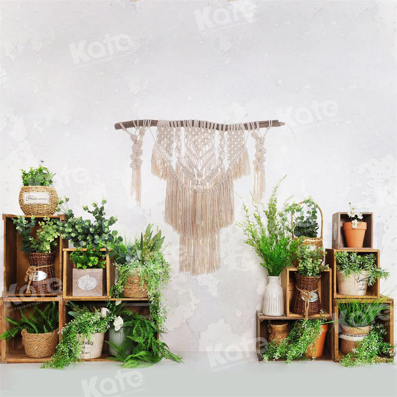 Kate Frühling/Sommer Boho Pflanzen Weiße Wand Hintergrund für Fotografie