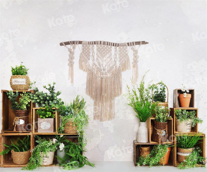 Kate Frühling/Sommer Boho Pflanzen Weiße Wand Hintergrund für Fotografie