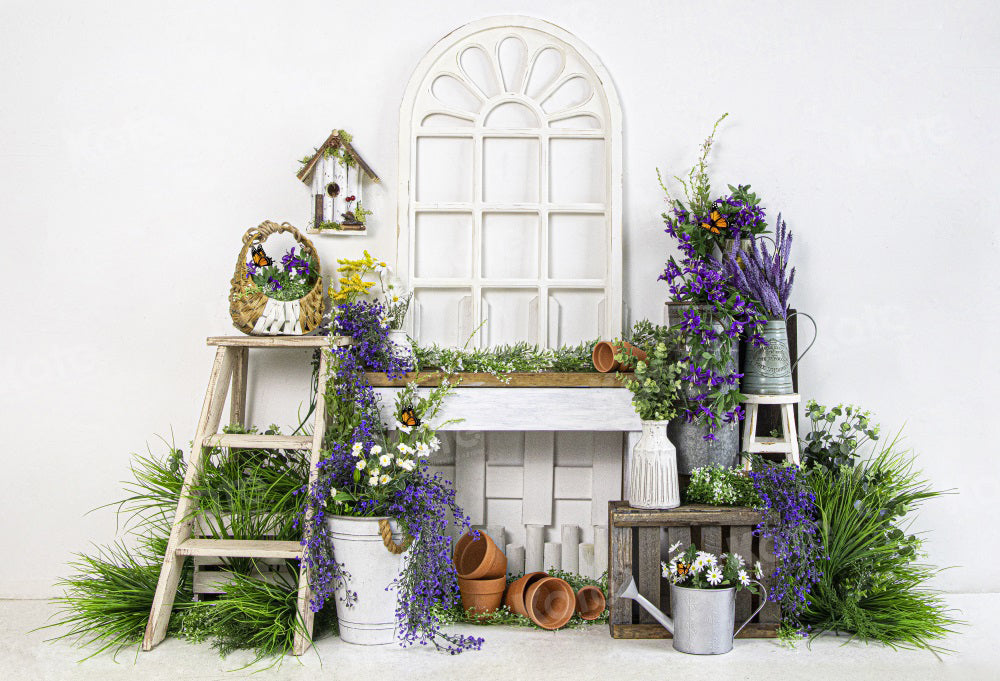Kate Frühling Lavendel Pflanzen Hintergrund für die Fotografie