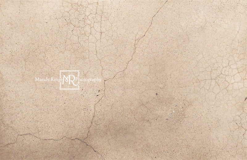 Kate Abgenutzter rissiger Terrazzo Hintergrund von Mandy Ringe Photography - Kate Backdrop.de