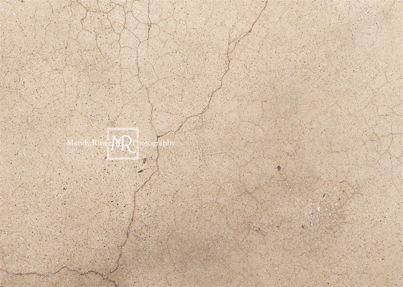 Kate Abgenutzter rissiger Terrazzo Hintergrund von Mandy Ringe Photography - Kate Backdrop.de