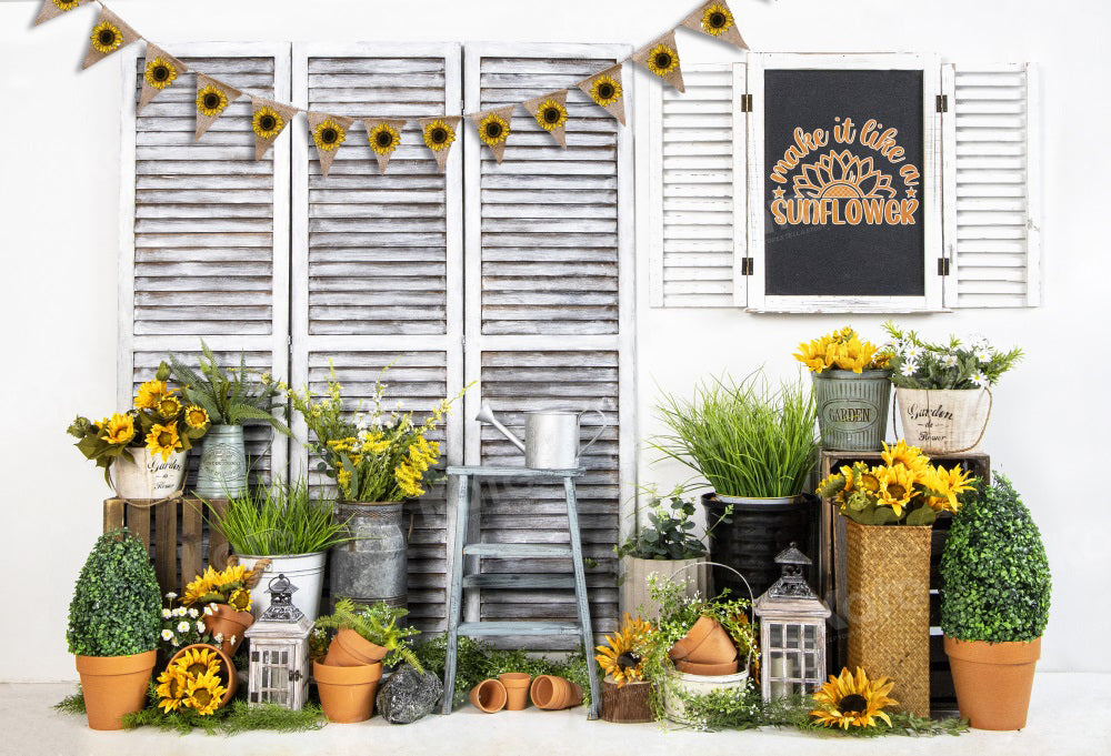 Kate Sommer Sonnenblumen Shop Hintergrund für Fotografie - Kate Backdrop.de