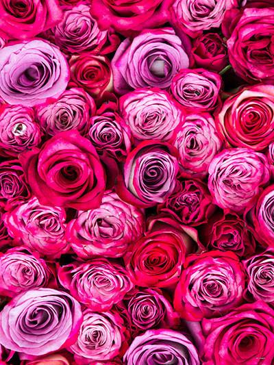 Katebackdrop：Kate Valentine'S Day Red Flowers Photography Backdrop