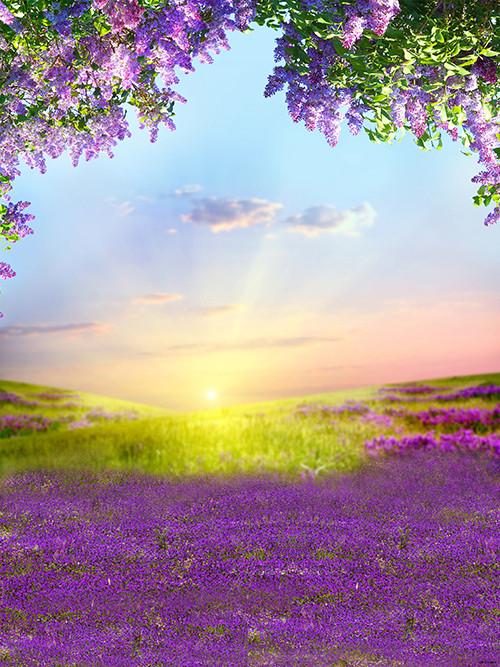 Katebackdrop：Kate Outdoor Purple Flowers Scenery Lavender Backdrop