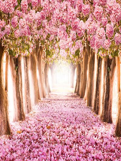 Katebackdrop Kate Pink Floral Road and Tree Backdrops Spring Scenery Photo