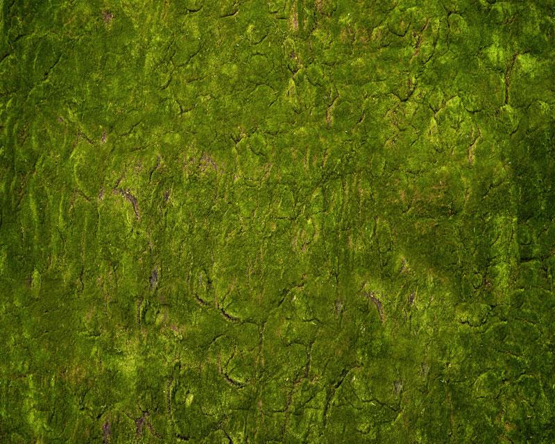 Kate Wunderland Gras Grün Gummimatte Bodenmatte von Arica Kirby