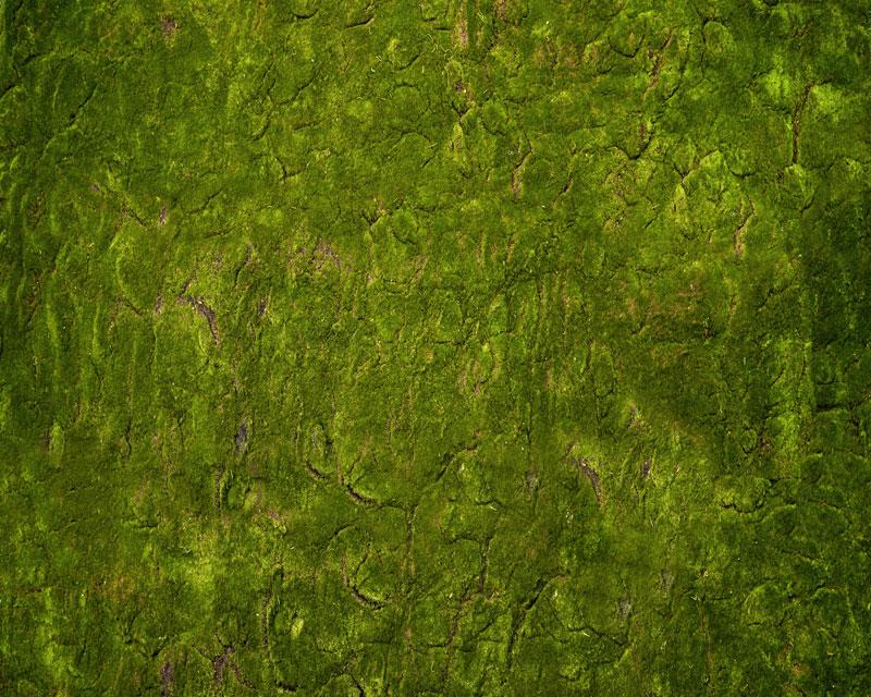 Kate Wunderland Gras Grün Gummimatte Bodenmatte von Arica Kirby - Kate Backdrop.de