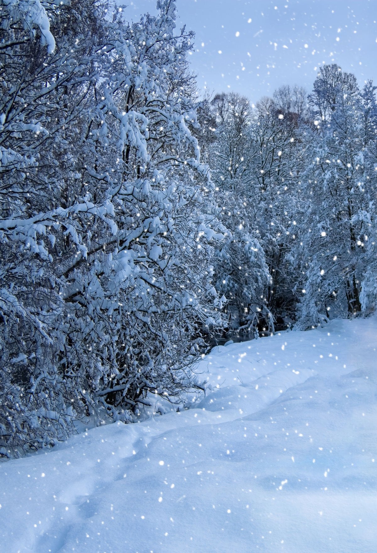 Katebackdrop：Kate Snowy Frozen Trees Winter Backdrop for Photography