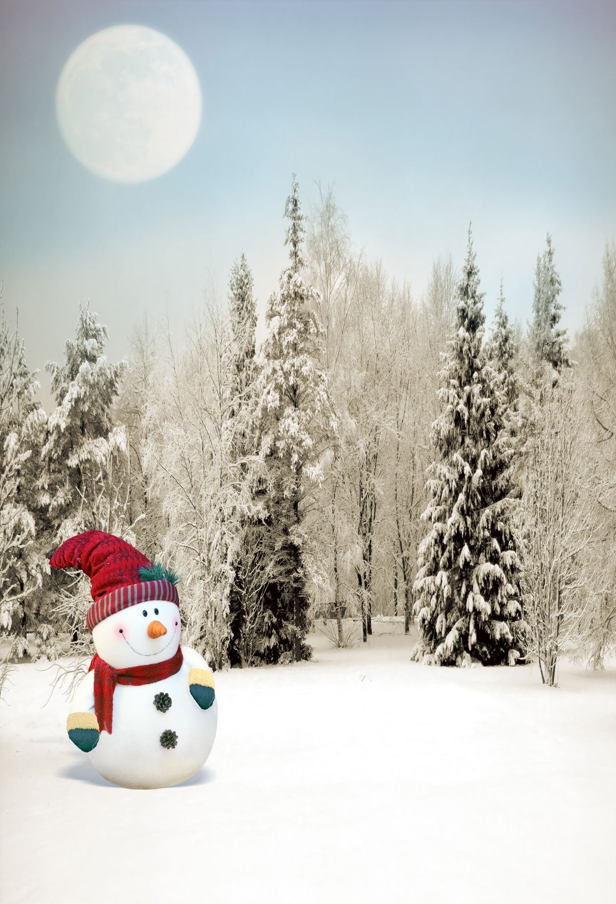 Katebackdrop：Kate Snowman Moon Frozen Trees Winter Backdrop for Photography