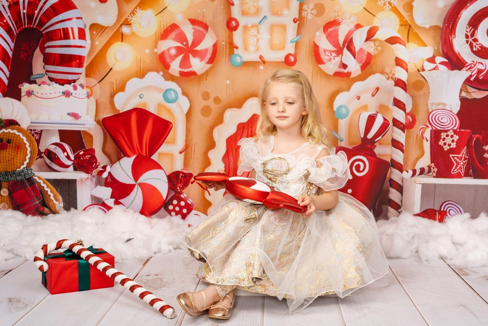 Kate Weihnachten Hintergrund Lebkuchen Haus Süssigkeit für Fotografie - Kate Backdrop.de
