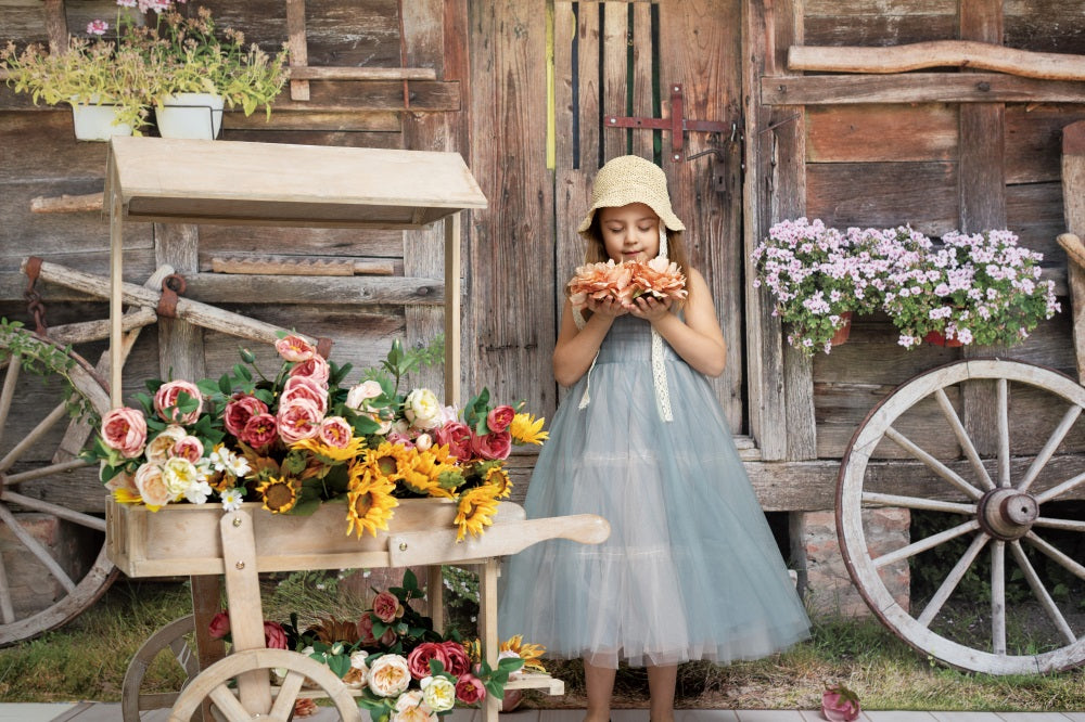 Kate Alte Holzscheune  Frühling Hintergrund  im Freien für Fotografie