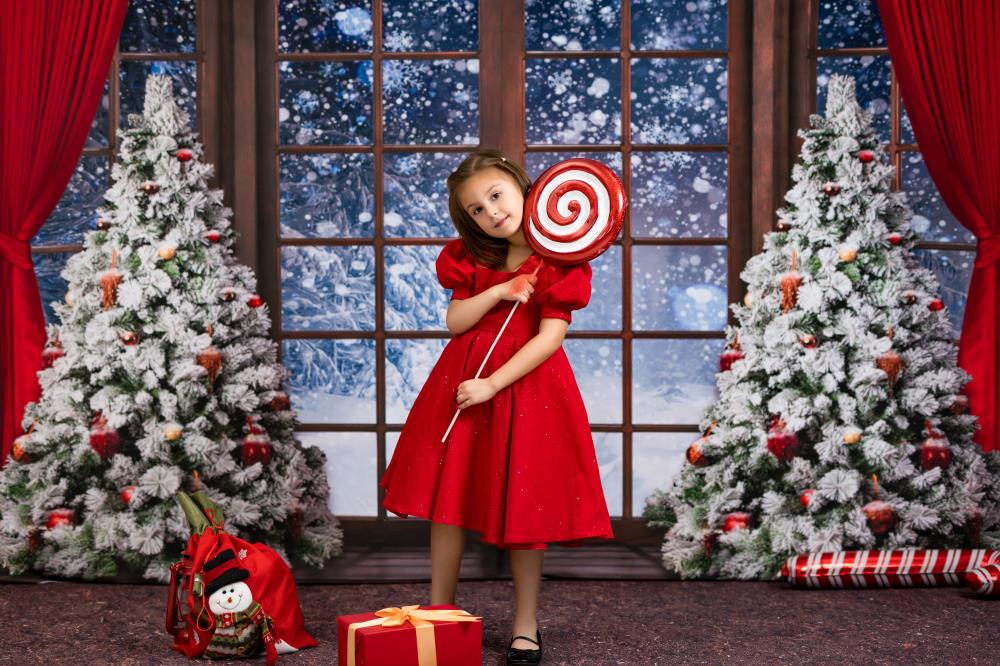 Kate Weihnachten Winter Schnee Fenster Hintergrund von Chain Photography
