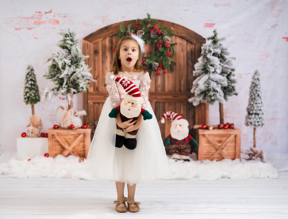 Kate Weihnachten Hintergrund Schnee Winter Weihnachten von Emetselch - Kate Backdrop.de