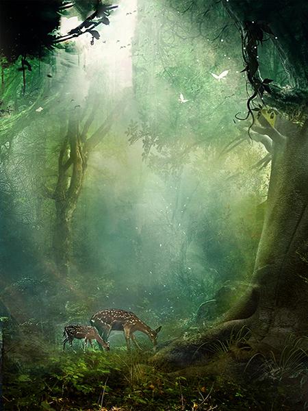 Katebackdrop：Kate Fairy Tale Forest Backdrop Animal Photo Background