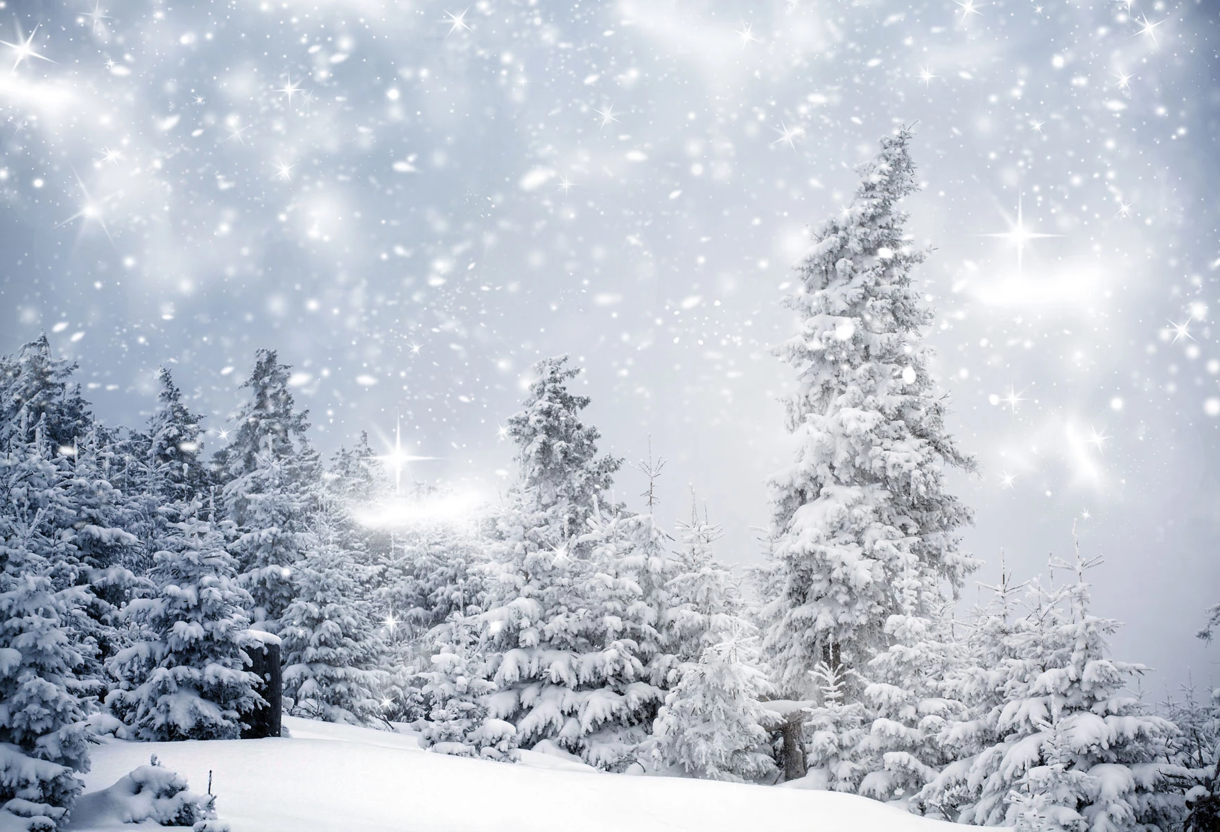 Winter-Schnee-Waldhintergründe